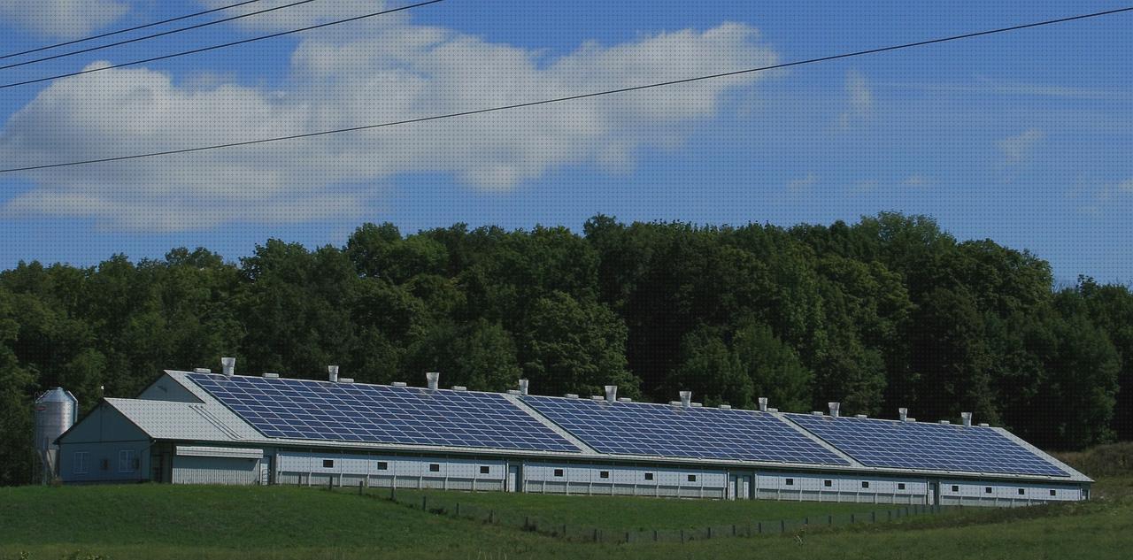 Las 30 Mejores Baterias Paneles Solares Caravanas