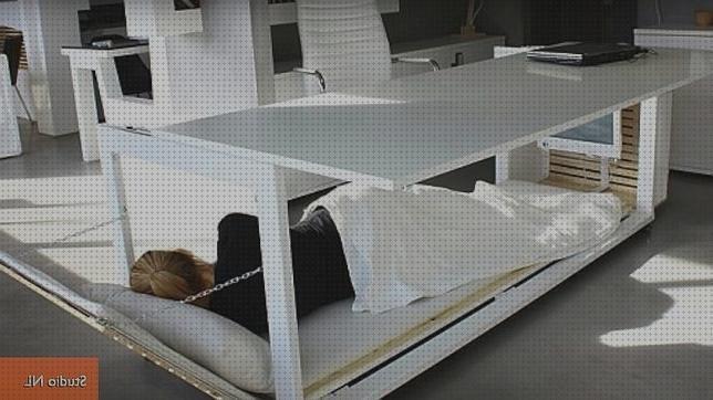 Las mejores cama plegable furgoneta Más sobre múnchen solar placa solar 300w Más sobre inversor solar 230v cama mesa