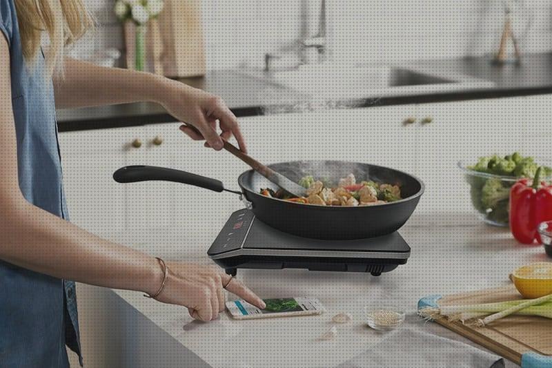 Análisis de las 26 mejores Cocinas Vitroceramica Portátiles