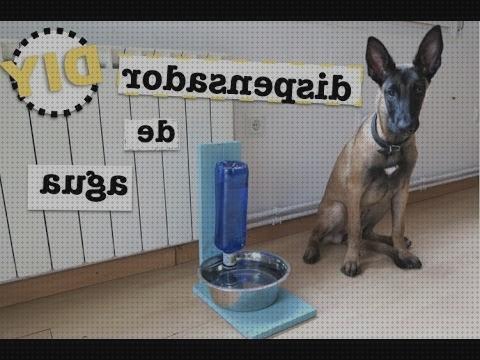 Review de deposito agua perros