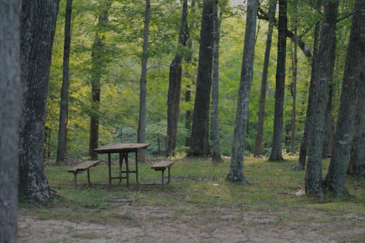 Las mejores deposito agua de madera mesa camping madera