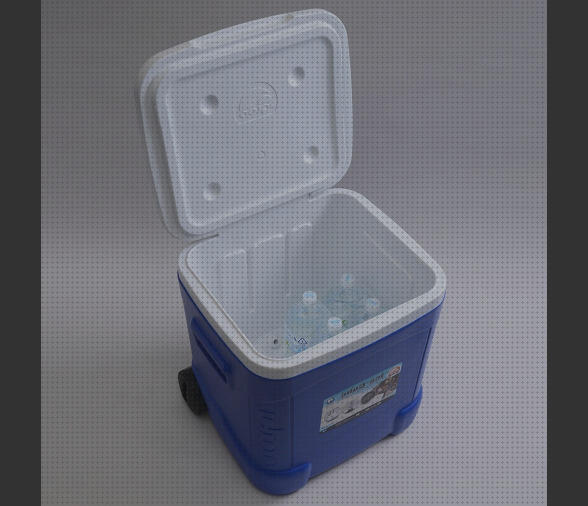 Review de nevera portátil igloo ice cube 60 roller