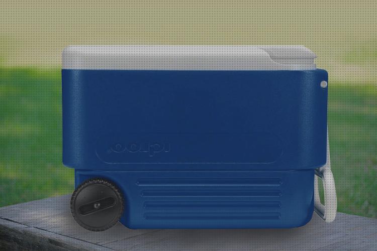 ¿Dónde poder comprar nevera igloo portátil Más sobre inversor solar 230v neveras portátil igloo?