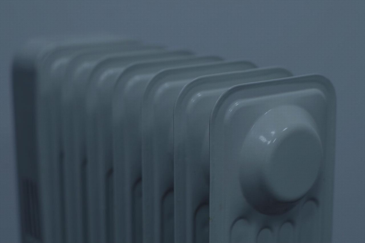 Las mejores marcas de calefacciones radiador frio nevera portátil
